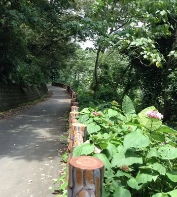 御成路古道