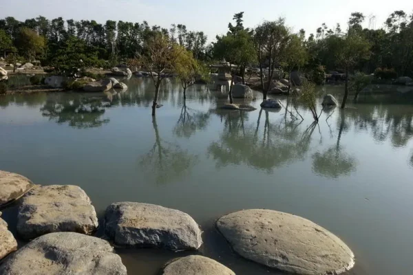 澄霖味道森林館