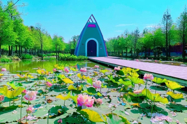 珍．粉紅城堡鹿角村