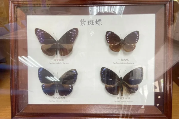 雲林縣蝴蝶故事館