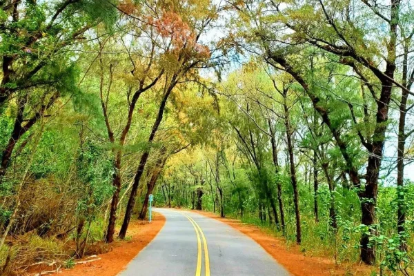 黑森林自行車道