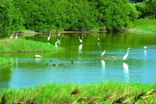 山水濕地公園
