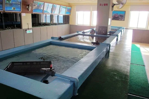 澎湖縣水產種苗繁殖場