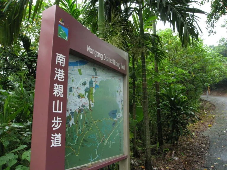 南港山縱走親山步道，紅色解說導覽牌立於檳榔樹林間步道旁