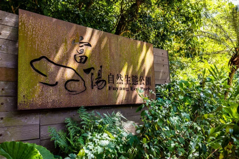 富陽自然生態公園，林木間懸掛刻有園名的木質招牌與蕨類植栽