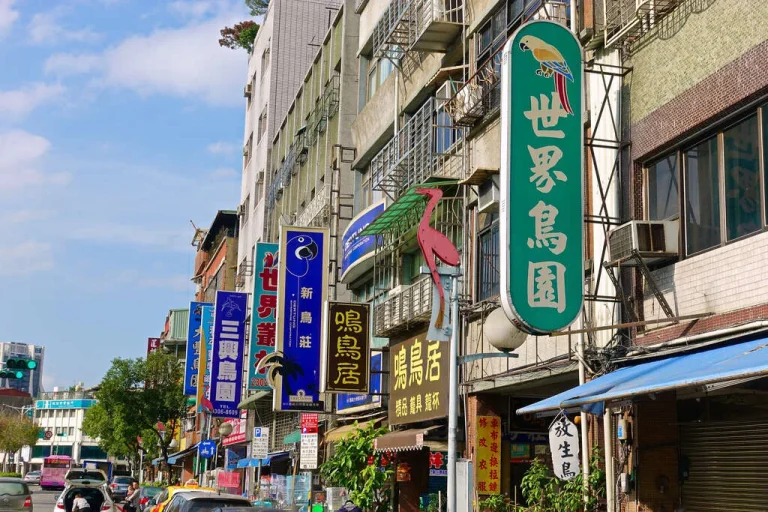 臺北和平西路三段鳥店街，世界鳥園等鳥店招牌與紅鶴造型立牌沿街排列