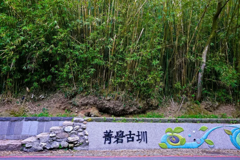 臺北市菁礐古圳，翠綠竹林下石牆刻著菁礐古圳字樣與彩繪