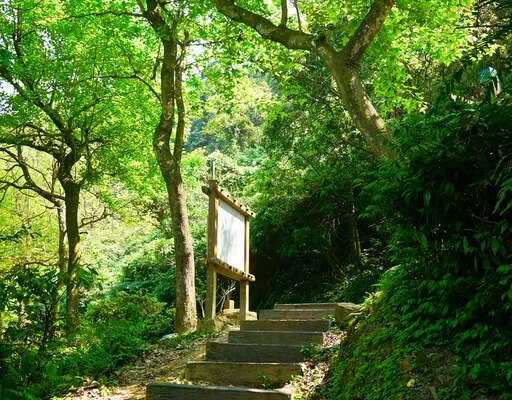 大成殿步道