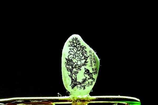陳逢顯毫芒雕刻博物館