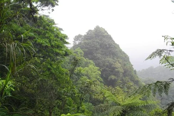菁桐古道