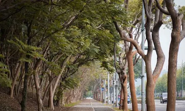 中科自行車道