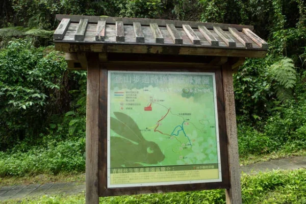 青桐林生態區步道