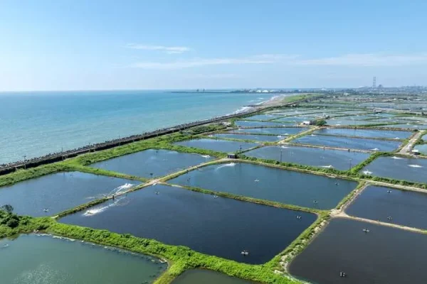 彌陀海濱遊樂區