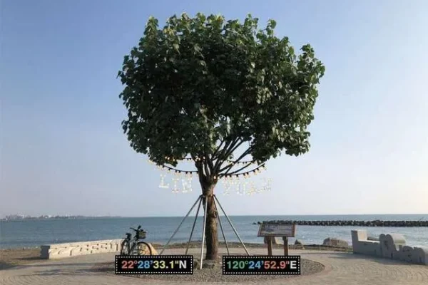 市境之南樹