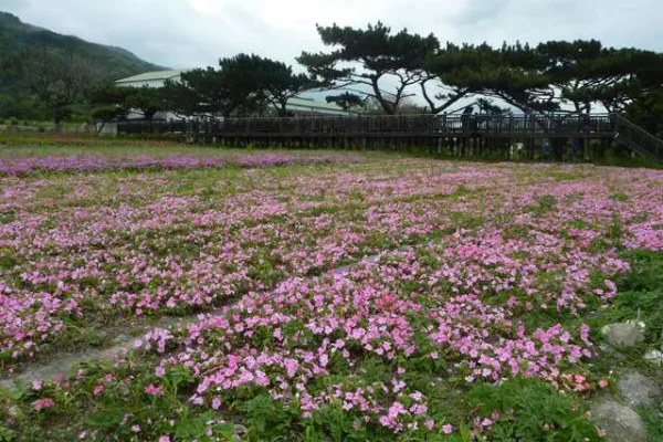 美山驛站
