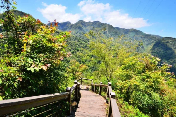 青年嶺步道