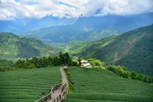 巃仔尾步道
