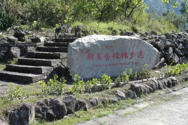 新美香樟林步道