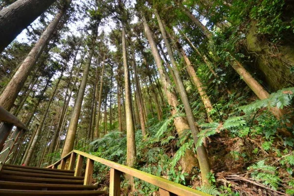 仙人堀步道