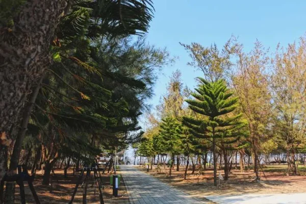 新岑公園