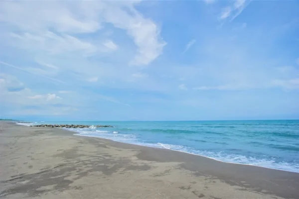 利澤沙丘海岸